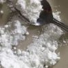 A-PHP Powder Legit Vendor In USA|Where To Buy A-PHP Powder Online